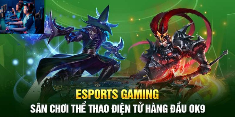 Thông tin về Esports OK9